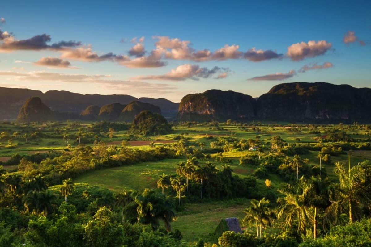 Viñales Valley landscape with dramatic limestone mogotes, lush green tobacco fields, and palm trees in Cuba at sunset