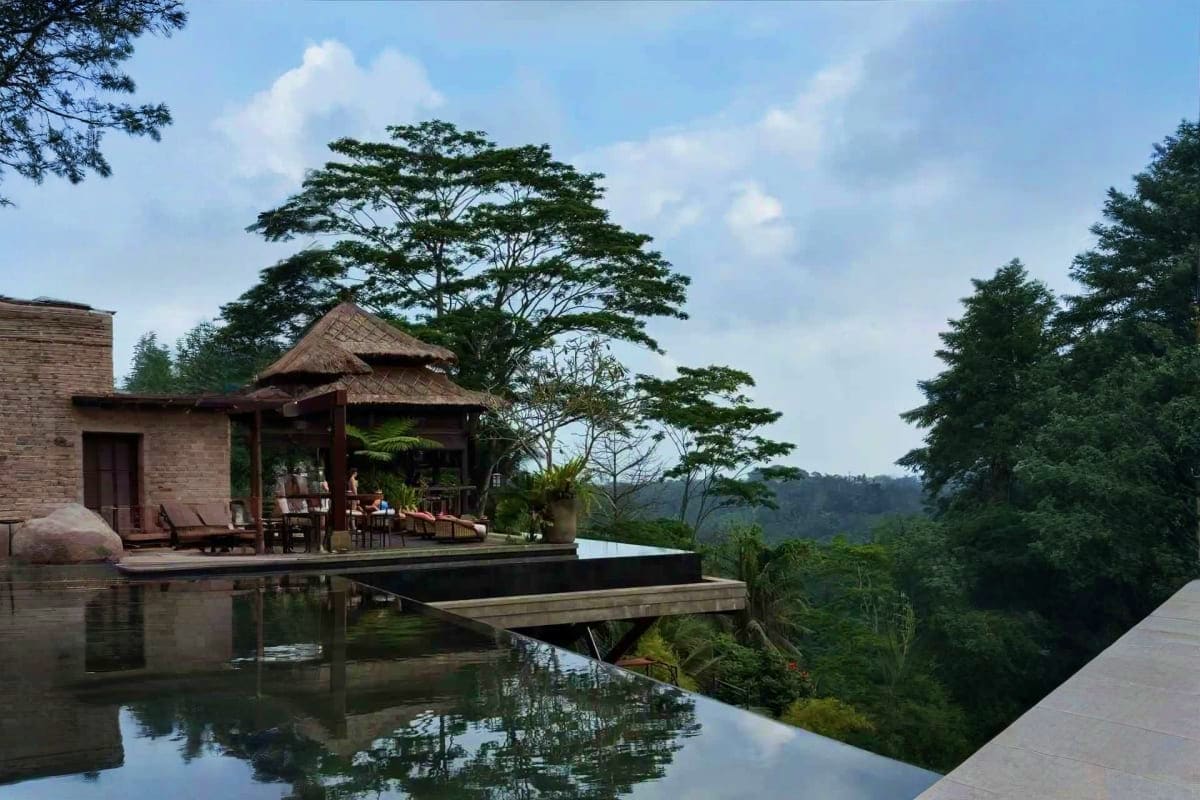 Luxury pavilion with thatched roof overlooking infinity pool and forested valley in Bali, with large shade tree and wooden lo