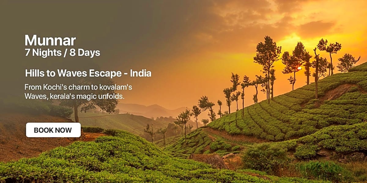 Scenic sunset over rolling green hills and tea plantations in Munnar, Kerala, with tall palm trees silhouetted against golden