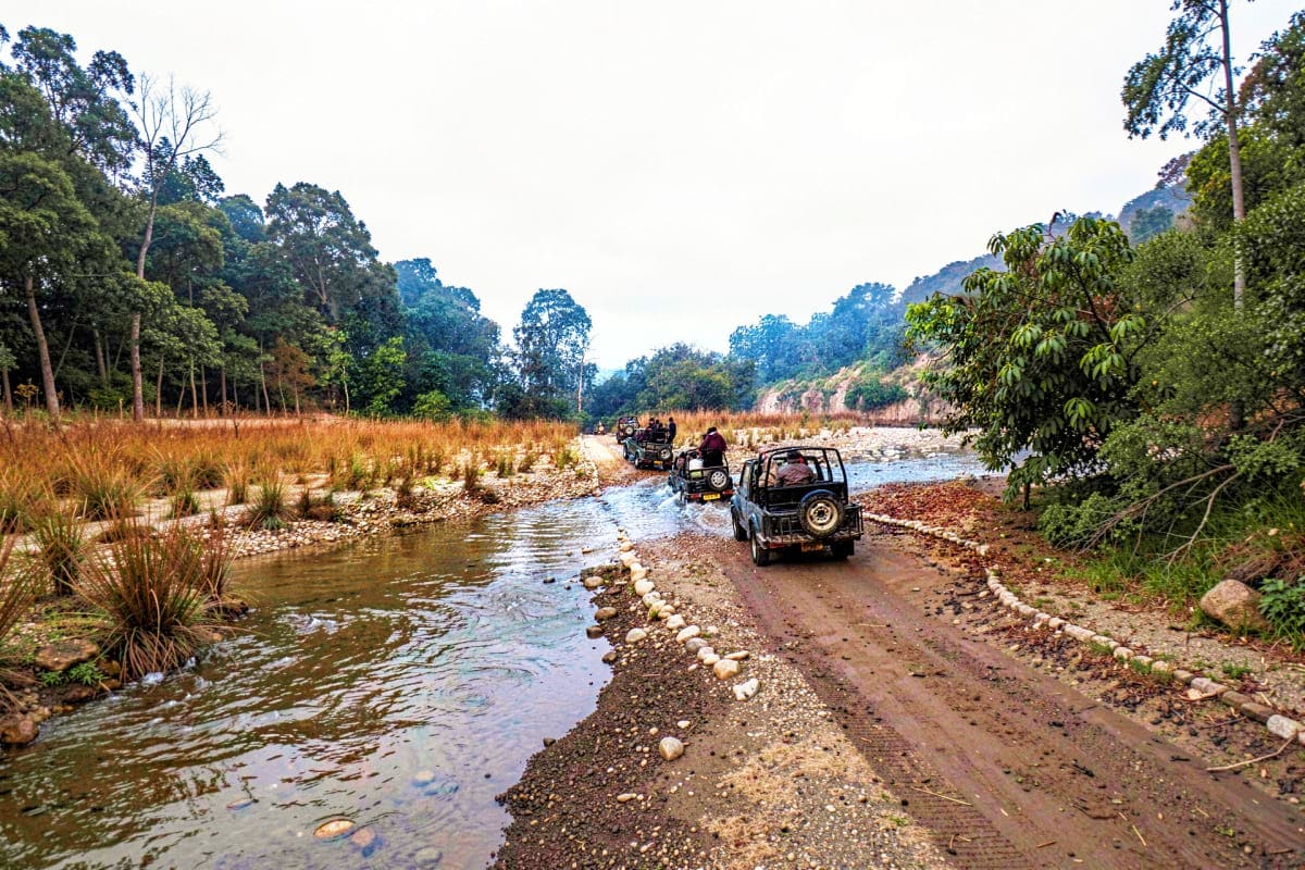 Jeep safari vehicles crossing a shallow stream through forested terrain with grassland and mountains in Dhikala zone wildlife