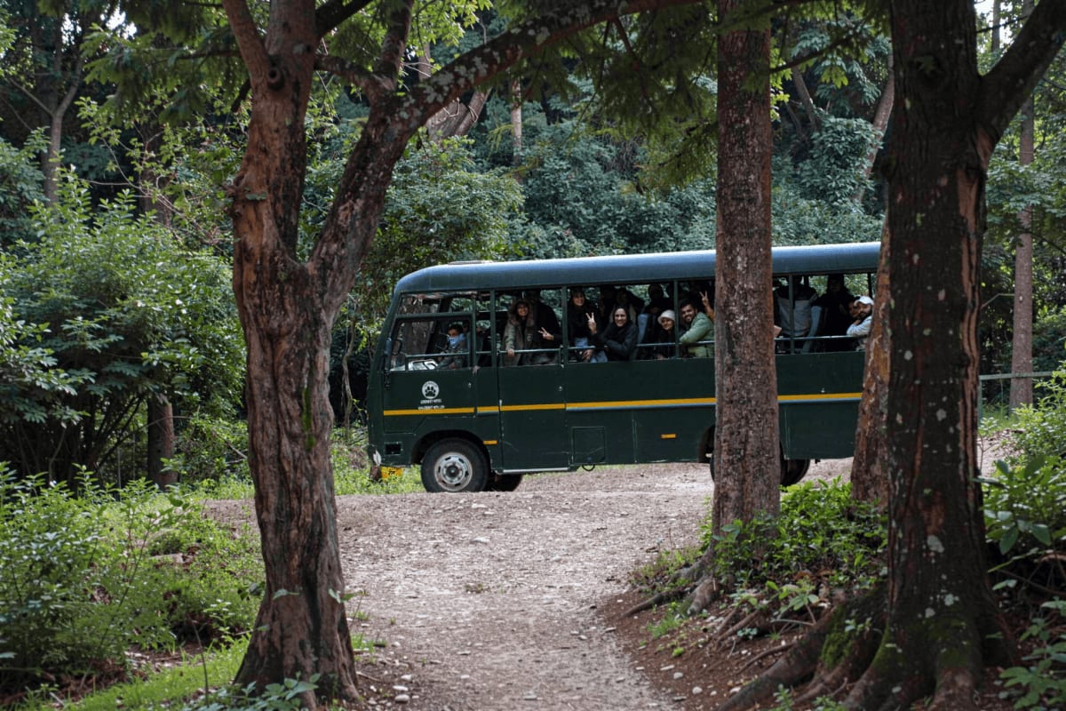 Green safari vehicle with passengers driving through dense forest on dirt road at Dhikala wildlife sanctuary