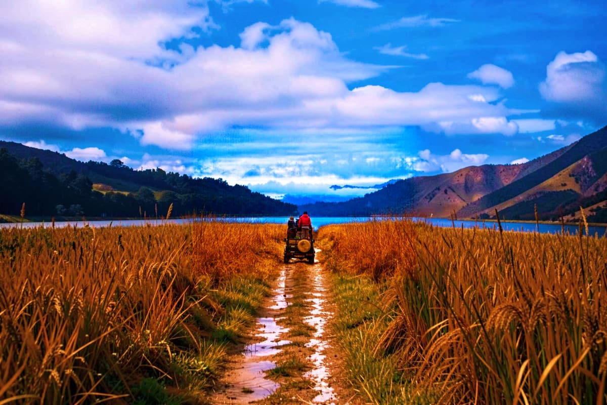 Jeep safari vehicle driving through wetland marsh with blue lake and forested mountains in background under blue sky