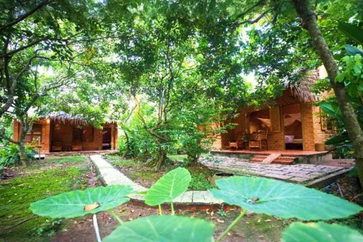 Mekong - Cai Be Tan Phong Island Sharing Tour Tropical wooden bungalows with thatched roofs nestled among lush green trees and large lily pad leaves in Mekong Delta