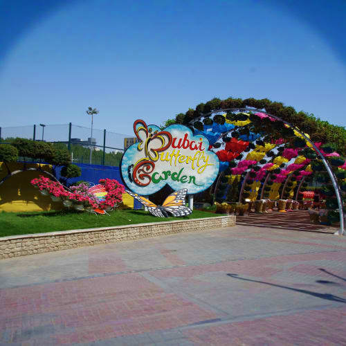 Dubai Butterfly Garden entrance with colorful flower sculptures and ornamental displays under clear blue sky