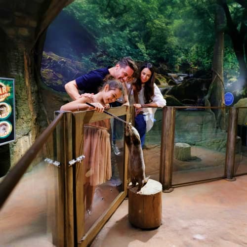 Family feeding penguins through glass at Dubai Aquarium interactive penguin encounter exhibit