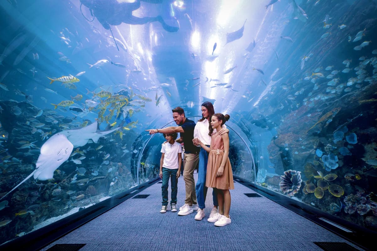 Dubai Aquarium and Underwater Zoo Family walking through underwater tunnel viewing manta ray and tropical fish at Dubai Aquarium and Underwater Zoo