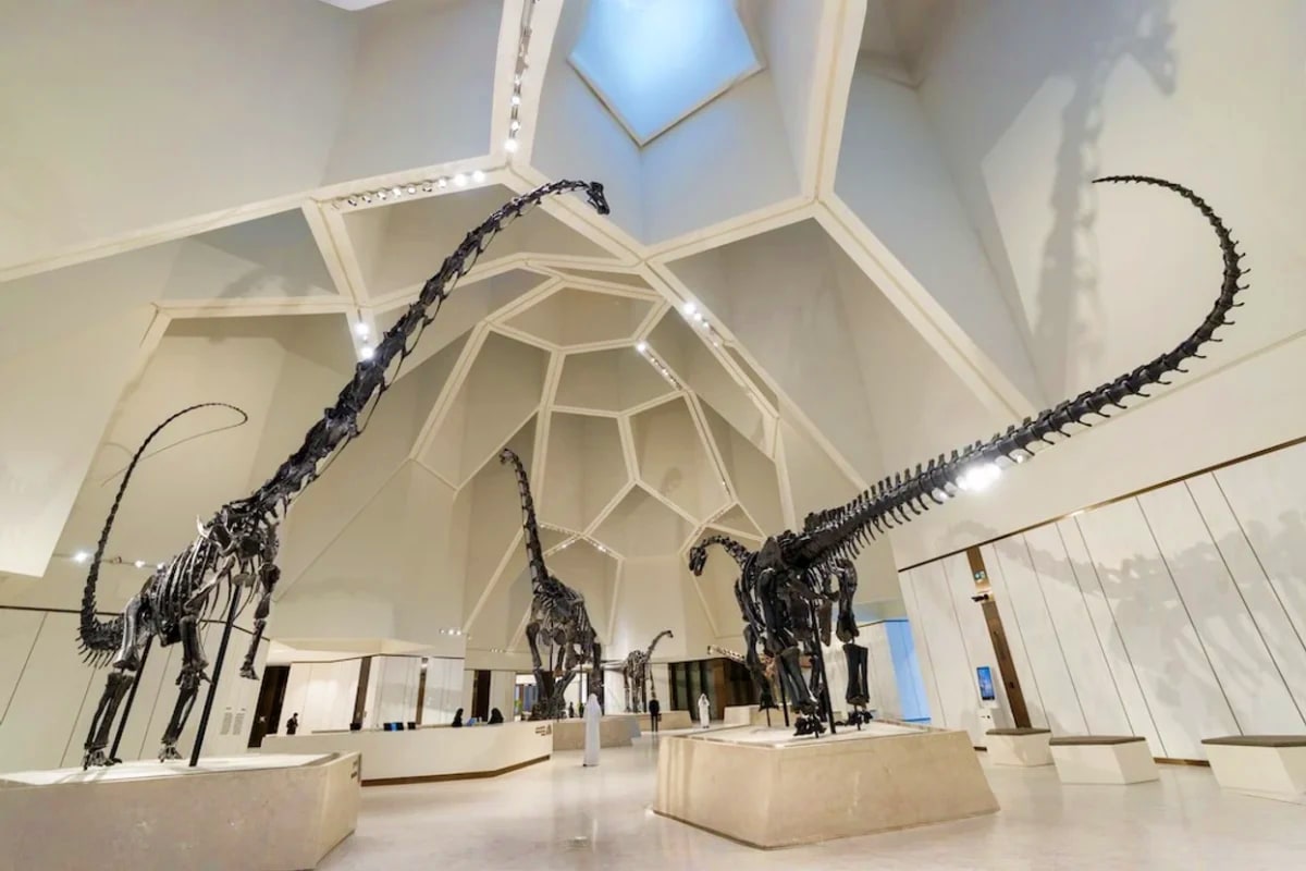 Dinosaur skeleton displays in Natural History Museum Abu Dhabi's white geometric dome interior with arched ceiling and skylig