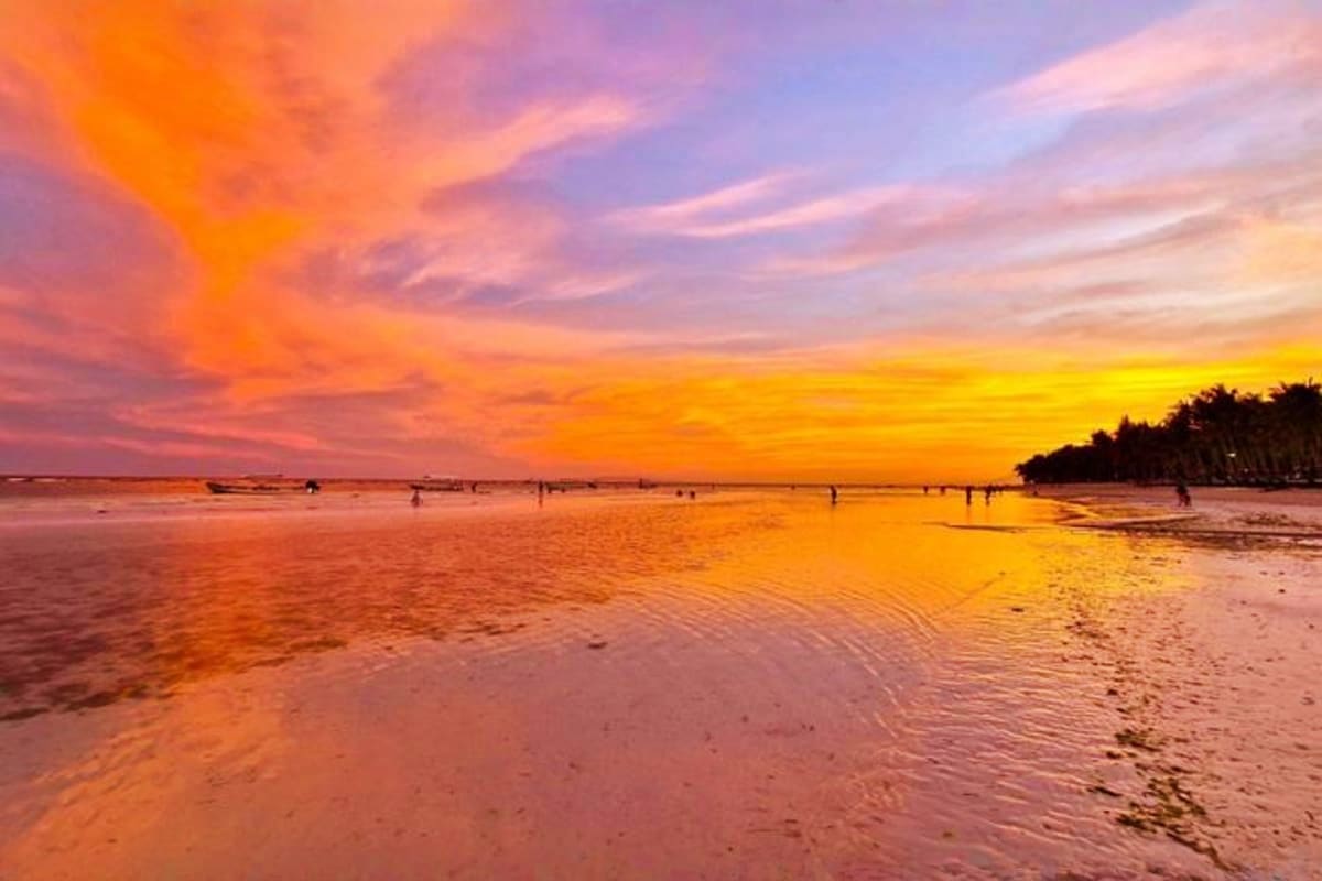 Sunset at Bohol beach with golden sky reflected in shallow water, palm trees silhouetted on shoreline, swimmers and tourists 