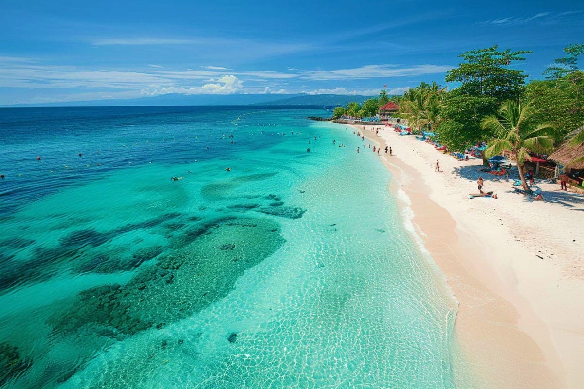 Aerial view of pristine white sand beach with turquoise water, tropical palm trees, and swimmers enjoying the crystal-clear s