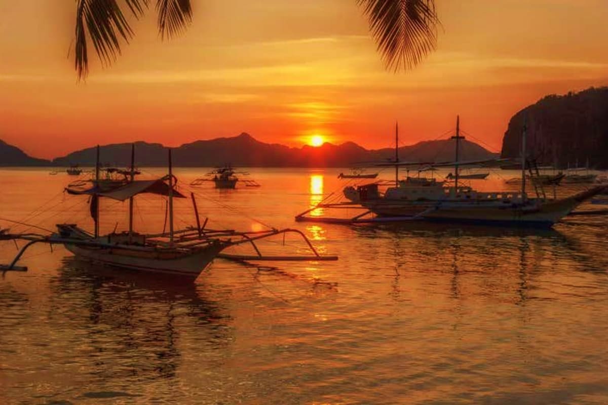 Fishing boats anchored in shallow water at sunset with palm fronds, mountains, and golden sky reflecting on the ocean surface