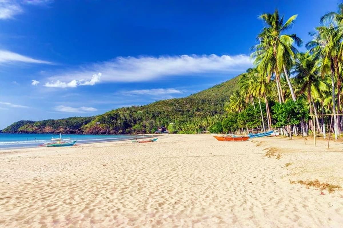 Tropical beach with white sand, turquoise water, palm trees, and colorful fishing boats anchored offshore