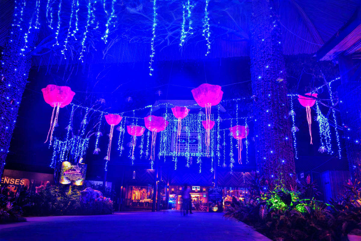 Sentosa Island & City Escape Neon-lit street with pink glowing lanterns hanging overhead, blue fairy lights draping from trees, and tropical plants lining