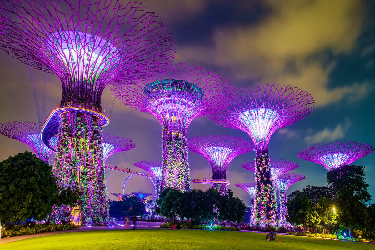 Casino Luxe Illuminated Supertrees at Gardens by the Bay at night with purple and white LED lights and green lawn in Singapore