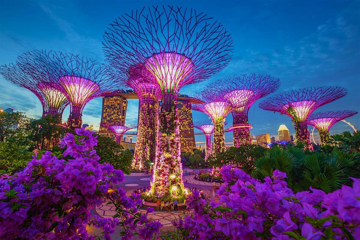 Honeymoon Special Illuminated Supertree Grove at Gardens by the Bay in Singapore at dusk with purple flowers and city skyline