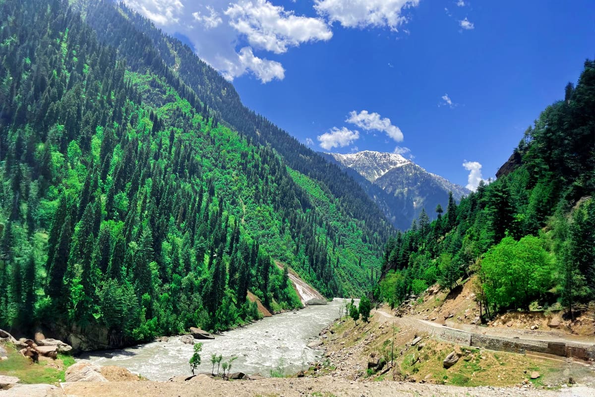 Exotic Kazakhstan New Year Special Mountain valley in Kazakhstan with evergreen forest, turquoise river, snow-capped peaks, and clear blue sky