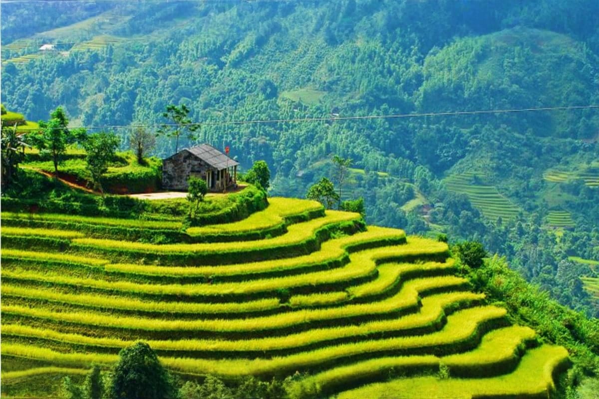 Terraced rice fields with traditional stone house in mountainous valley landscape, North Vietnam
