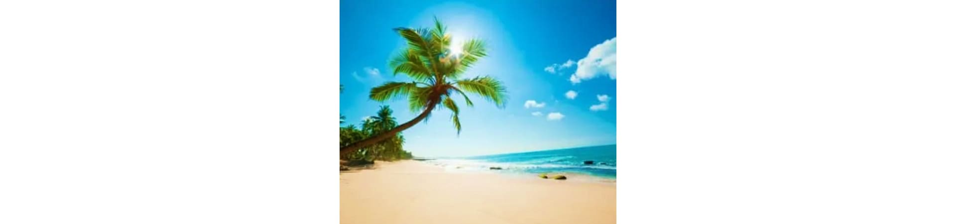 Tropical beach in Port Blair with curved palm tree, sandy shore, clear blue ocean and sky