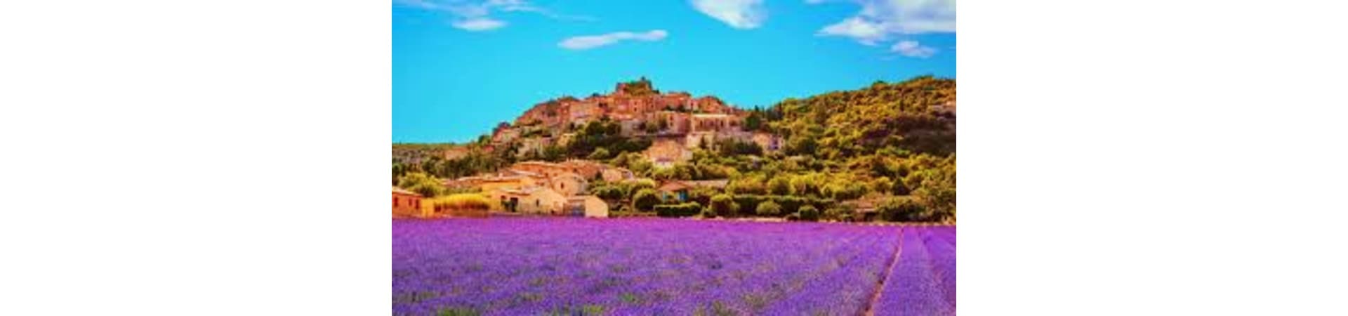 Purple lavender field with traditional Provençal village and stone buildings nestled on hillside under blue sky