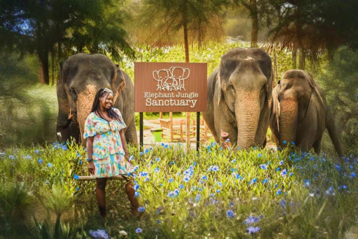 Elephant Wildlife Sanctuary Child standing with three elephants in a lush jungle setting with blue flowers and Elephant Jungle Sanctuary sign