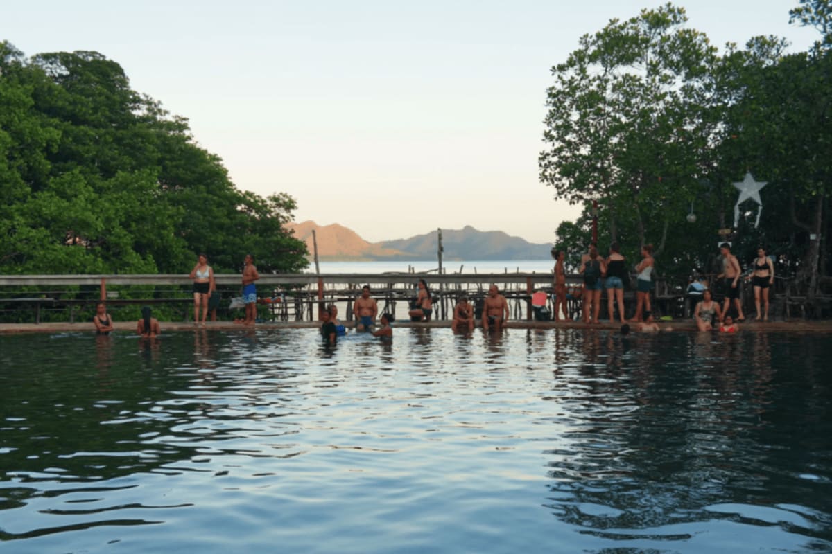 Coron Town Half Day Tour Tourists swimming and relaxing at a wooden pier surrounded by mangrove trees with limestone islands visible across the water