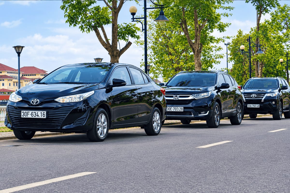 Row of black taxis parked on urban street with trees and street lamps, ready for airport transfer service