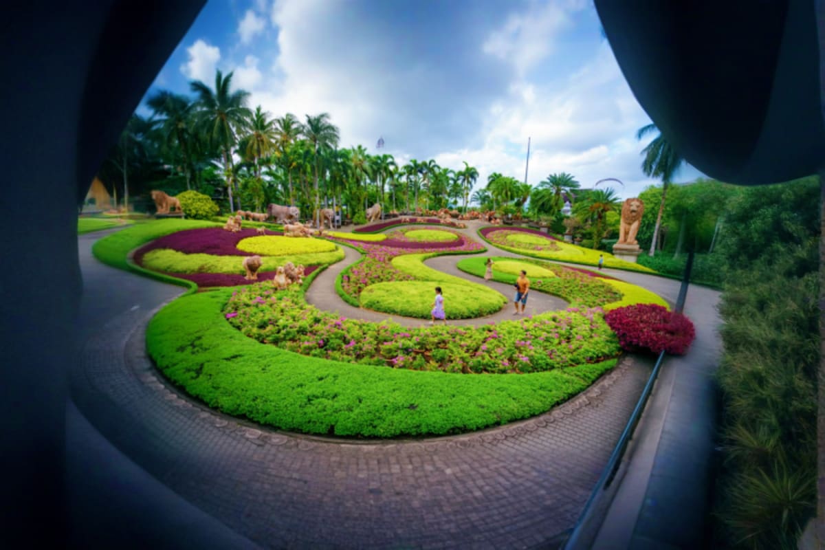 Nong Nooch Tropical Garden Shared Tour Aerial view of vibrant green and purple flower beds at Nong Nooch Tropical Garden with palm trees and visitors walking on pat
