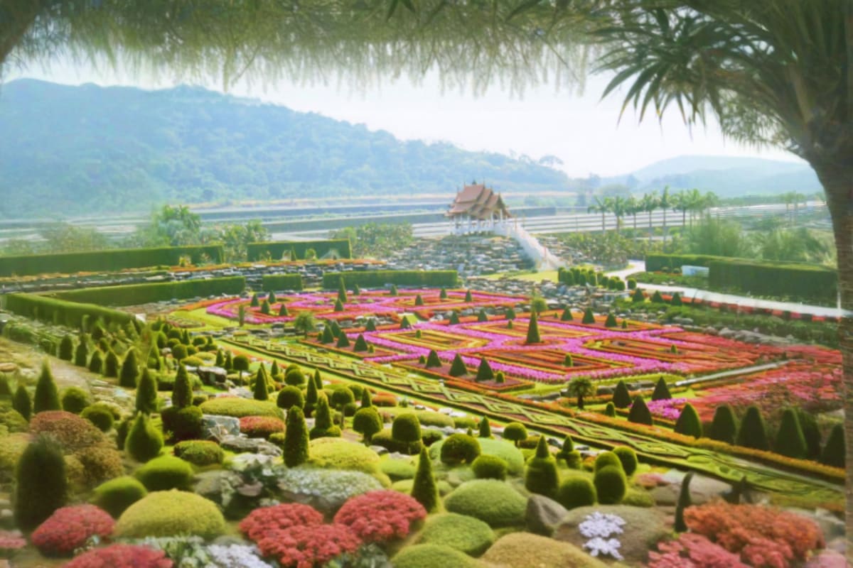 Nong Nooch Tropical Garden Shared Tour Aerial view of Nong Nooch Tropical Garden's terraced flower beds with pink and magenta blooms, geometric hedge designs, and t