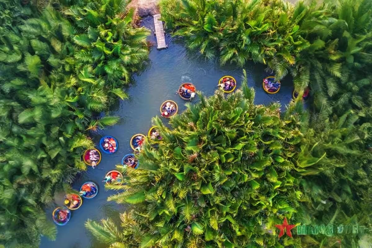 Marble Mountains Coconut Forest and Hoi An Tour