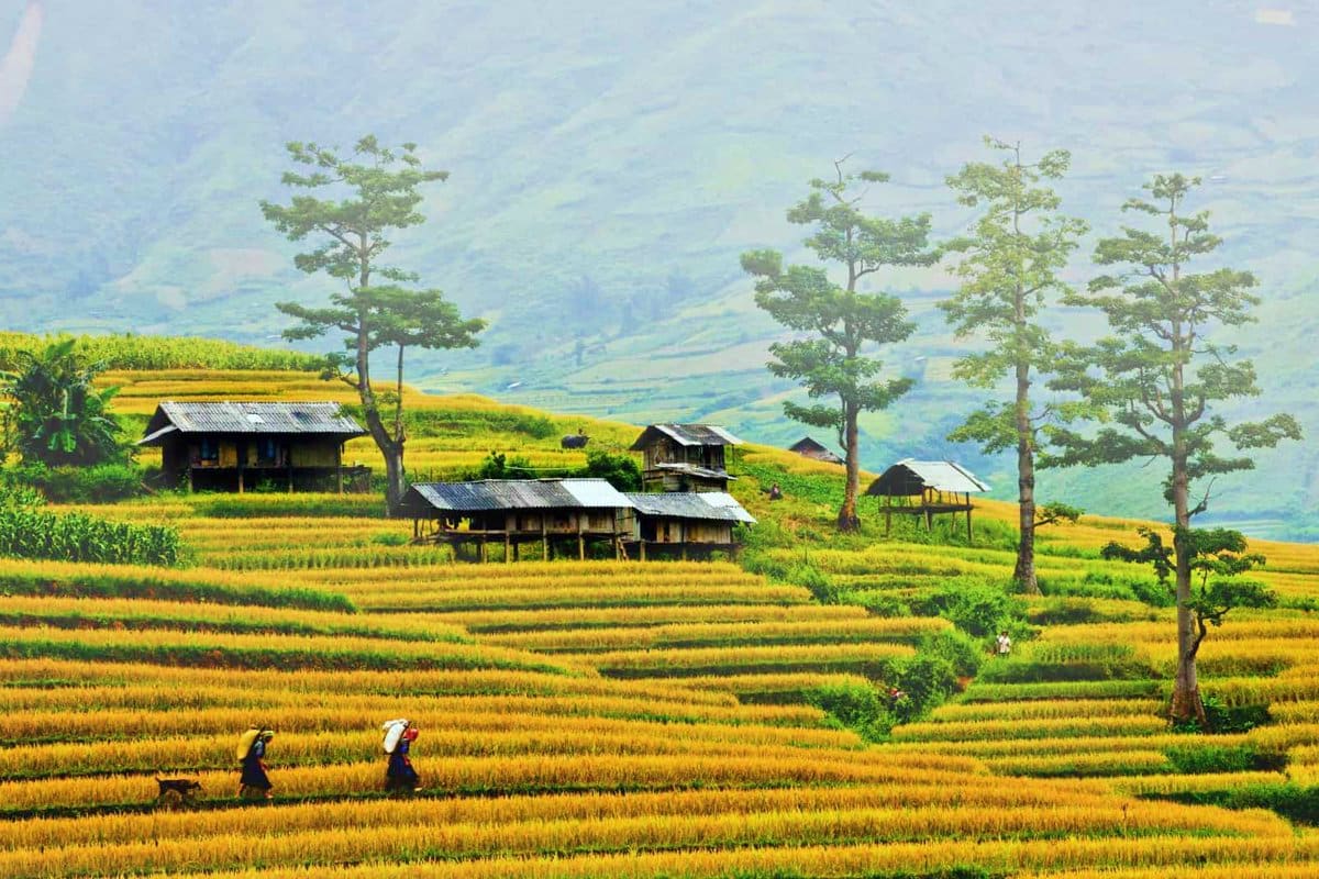 Sapa Tours Kiemafoto