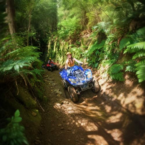 ATV riders on a narrow jungle trail surrounded by lush green ferns and vegetation in Bali forest