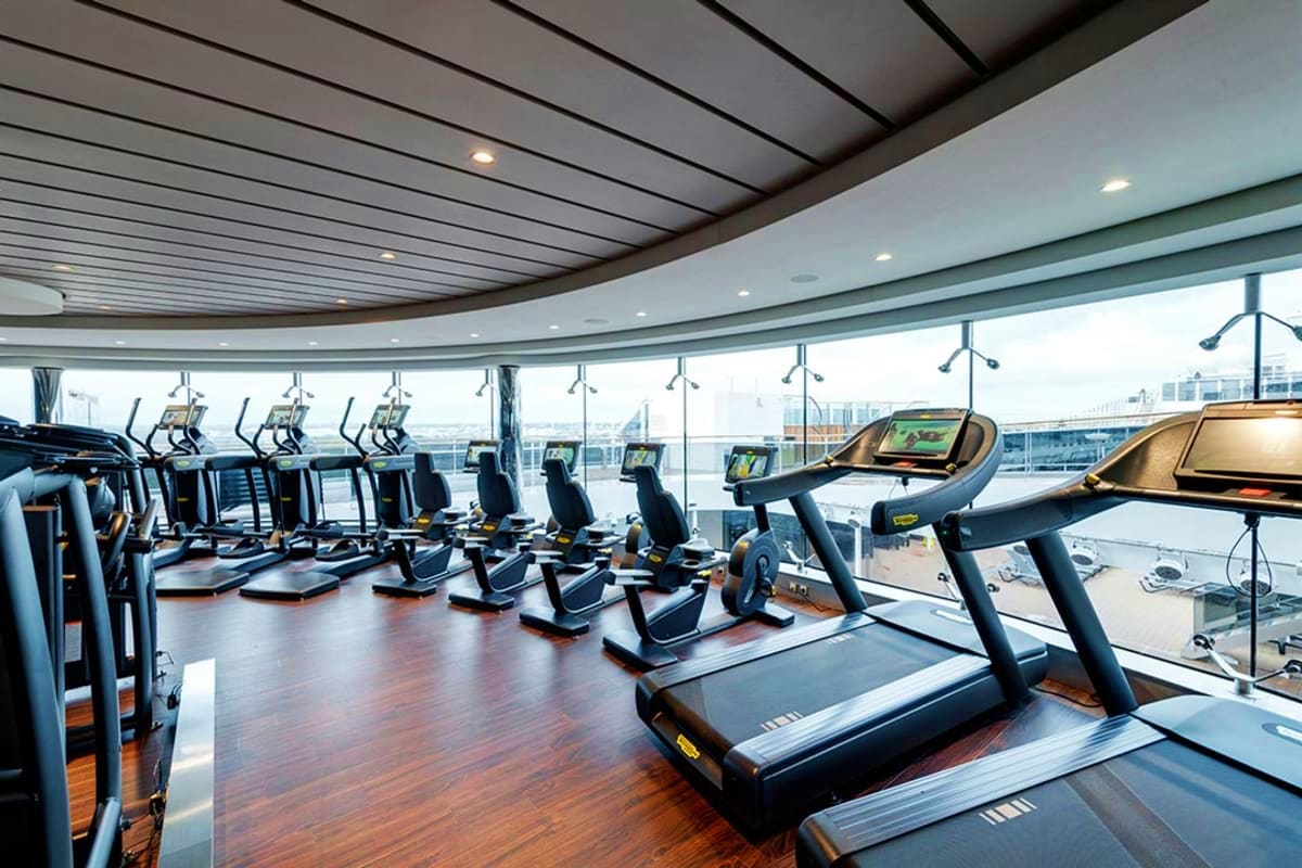 Modern gym with treadmills and elliptical machines overlooking city skyline and harbor from large windows