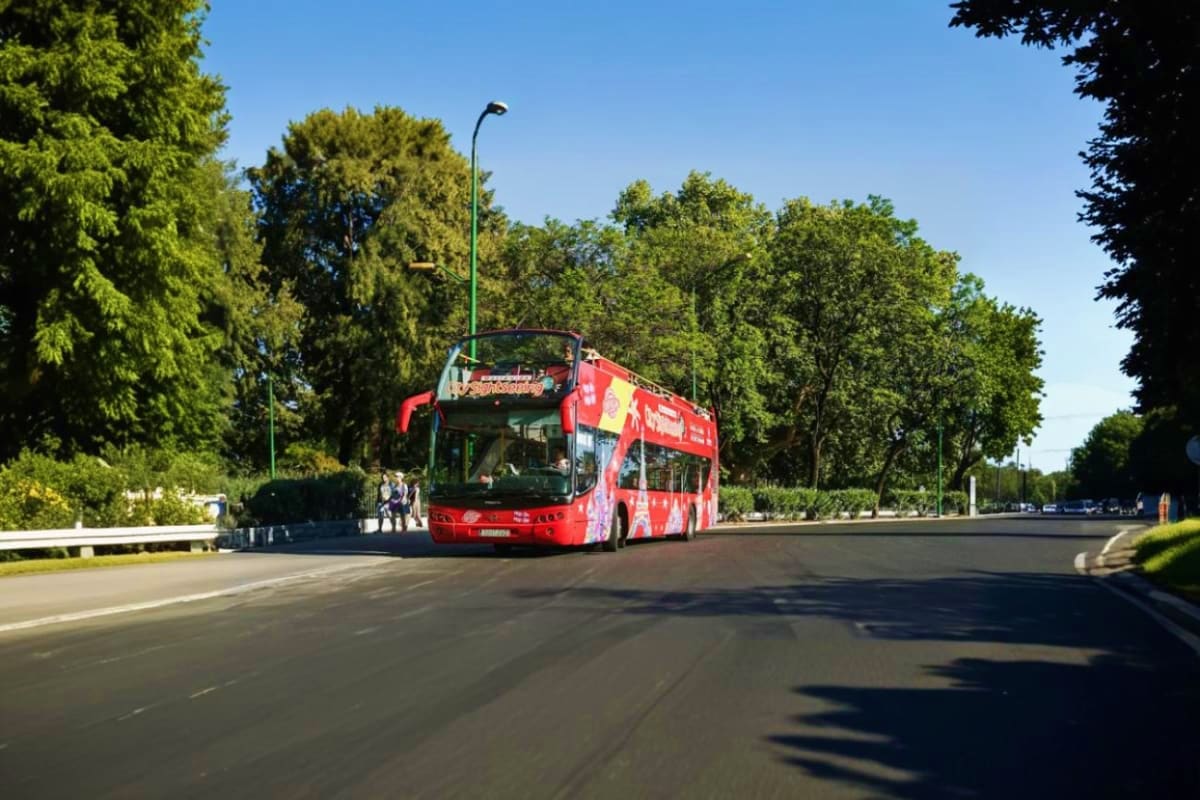 Red double-decker hop-on hop-off tour bus driving through tree-lined avenue with passengers on upper deck