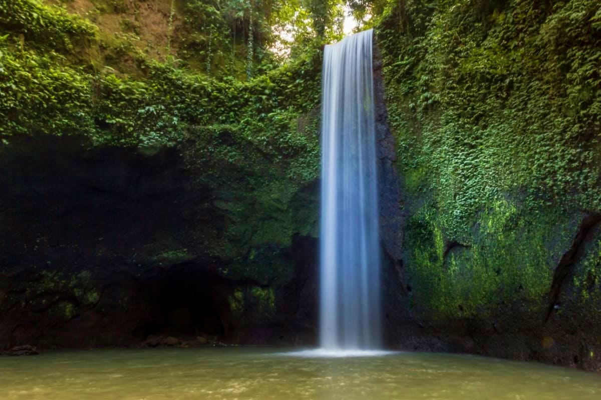 Waterfall cascading into emerald pool surrounded by lush green moss-covered rock walls in tropical rainforest canyon