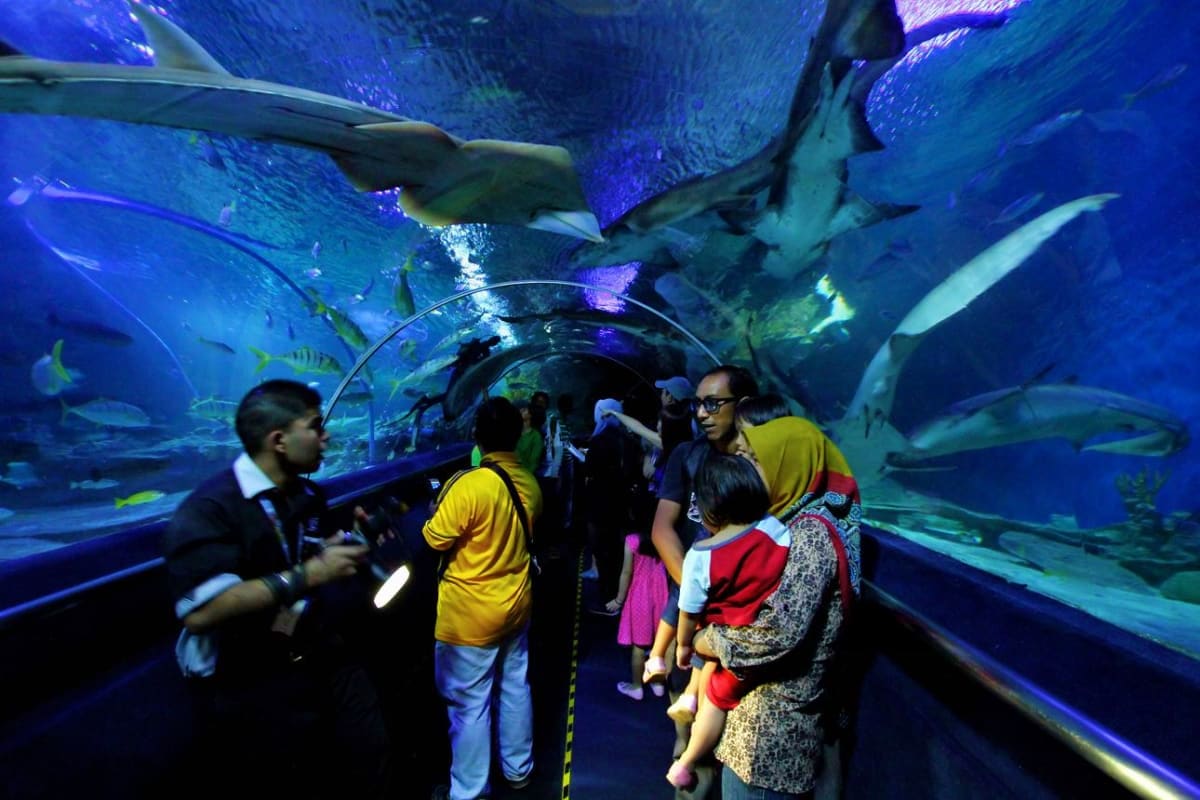 Visitors walking through underwater tunnel at aquarium with rays and sharks swimming overhead in blue-lit tank
