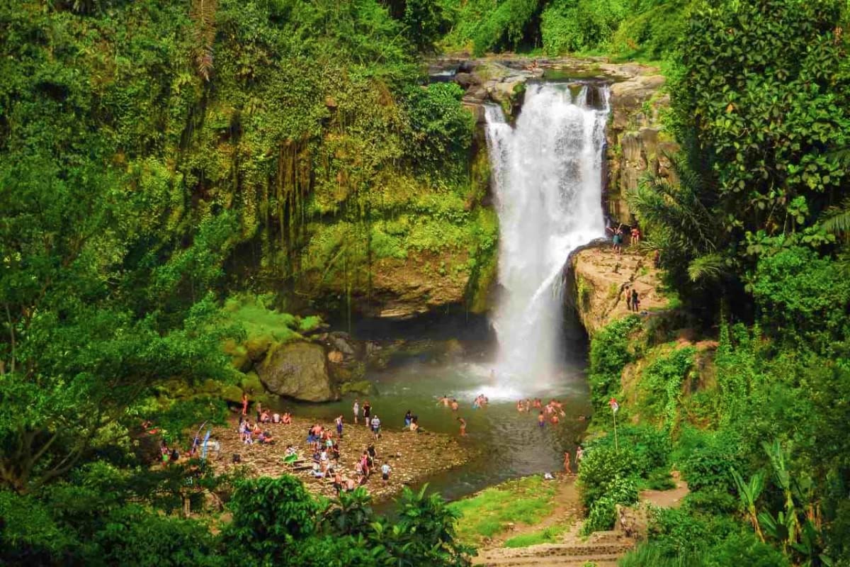 Waterfall surrounded by lush green jungle with tourists swimming in pool below and crowds gathered on rocky shore
