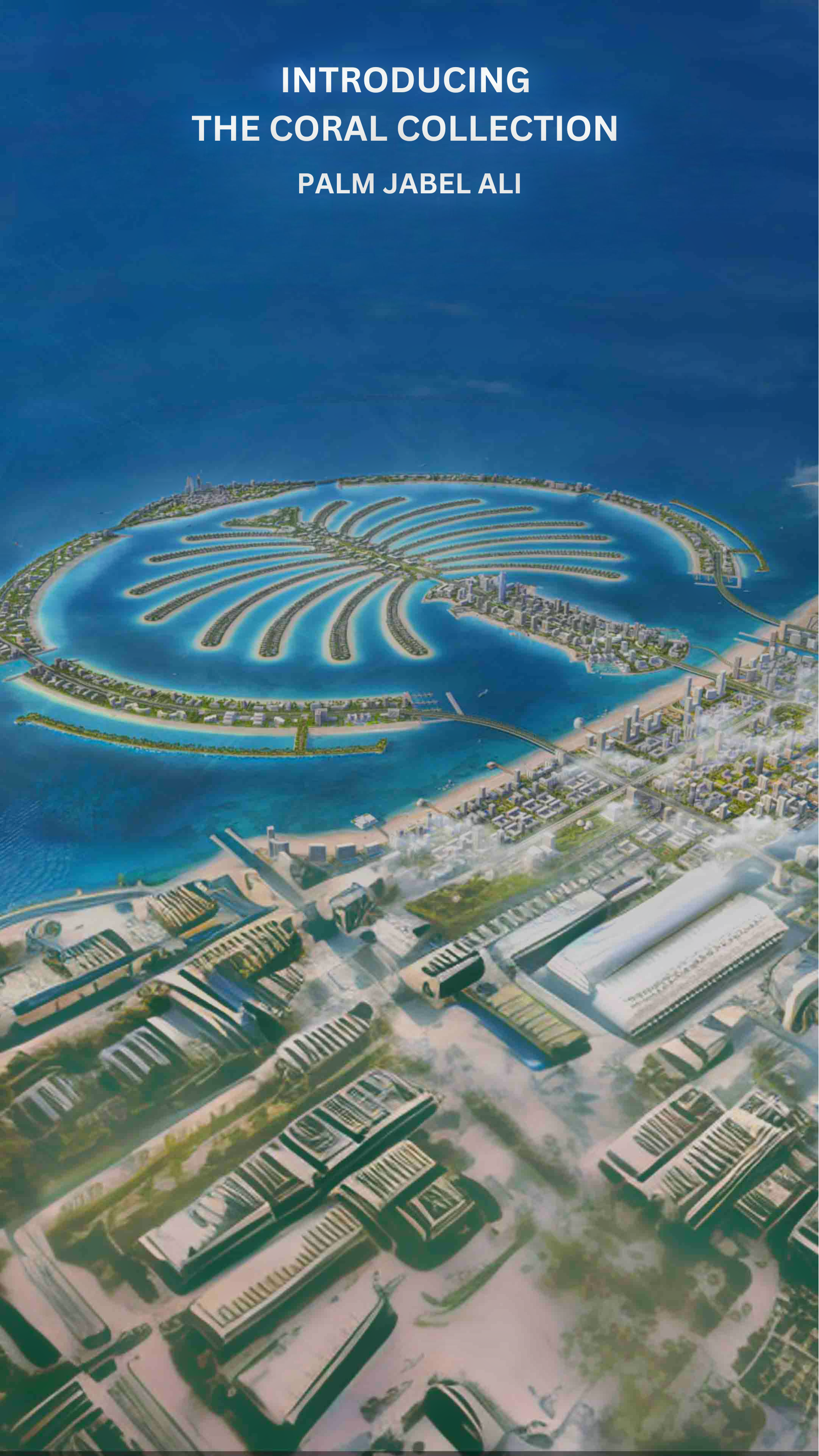 introducing_the_coral_jabel_palm_ali