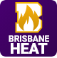 Heat logo