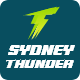 Thunder logo