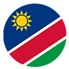 NAM logo