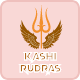 Kashi logo
