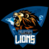 Florida logo