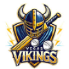 Vikings logo