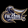 Falcons logo
