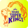 Texas logo