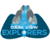 DVE logo
