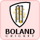 Boland logo