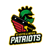 Patriots logo
