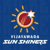 VJS logo