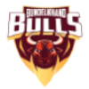Bulls logo