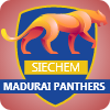 Panthers logo